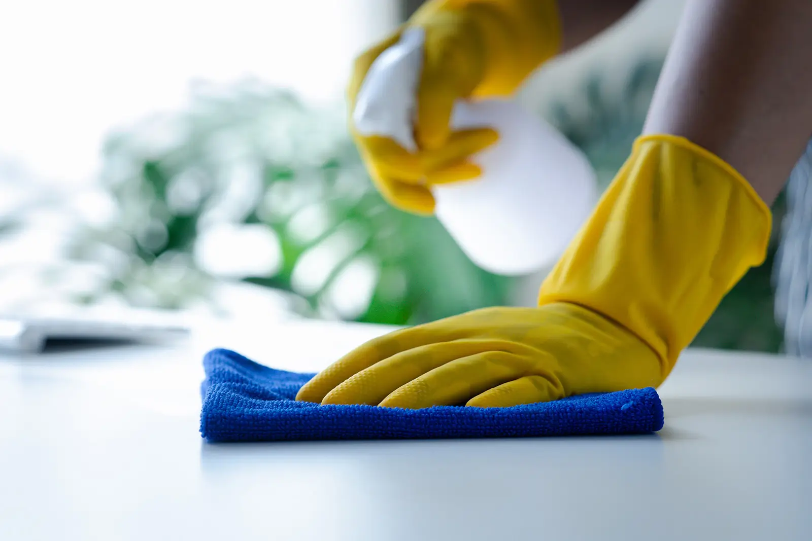 Cleaning Staff